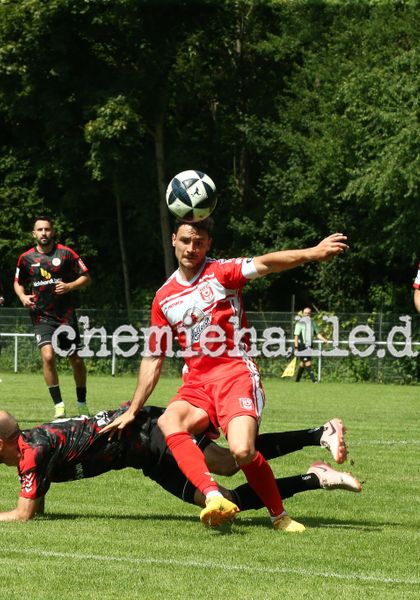 Hallescher FC startet mit makelloser Bilanz