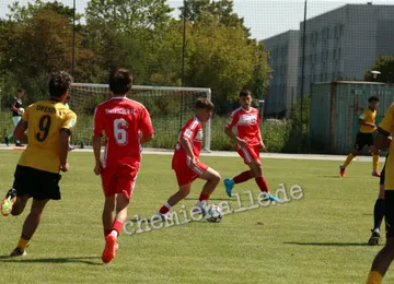 U17 des Halleschen FC unterliegt SG Dynamo Dresden
