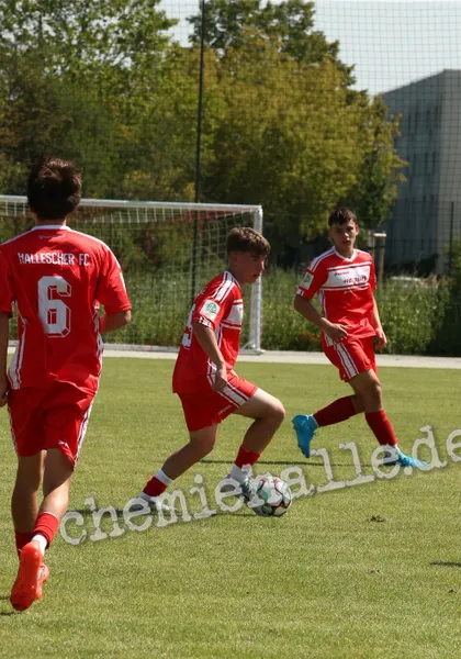 U17 des Halleschen FC unterliegt SG Dynamo Dresden