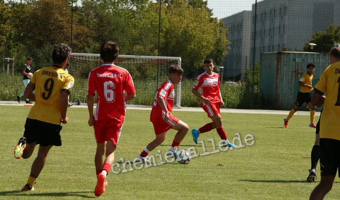U17 des Halleschen FC unterliegt SG Dynamo Dresden