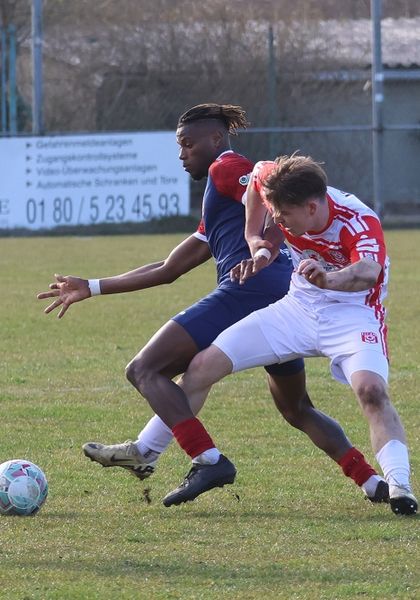 Hallescher FC zieht souverän ins Pokalfinale ein