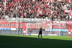 Hallescher-FC-SV-Waldhof-Mannheim-42