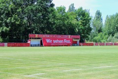 Hallescher-FC-Trainingsstart-2021-3
