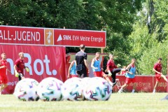 Hallescher-FC-Trainingsstart-2021-38