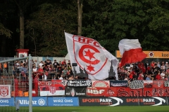 Viktoria-Köln-Hallescher-FC-18